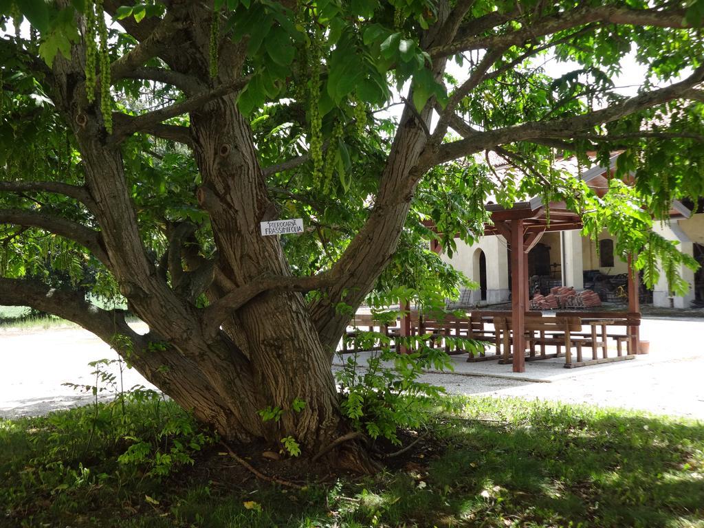 Agriturismo Rivieraoglio Piadena Luaran gambar